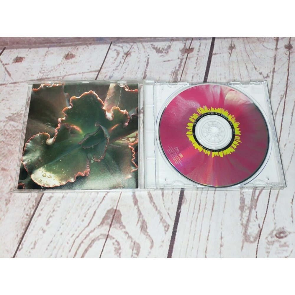 The Woman's Boat by Toni Childs (CD, Nov-1997, DGC)